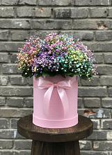 Цветочная композиция из Гипсофила и Розы в шляпной коробке #REPLACE_PRED# Александро-Невской