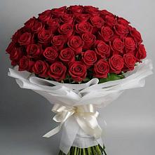 Букет 101 Красная роза Блэк Мэджик в Александро-Невской