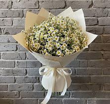 Букет цветов из:  Ромашки в Александро-Невской