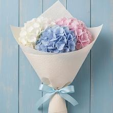 Букет цветов из:  Гортензия в Александро-Невской