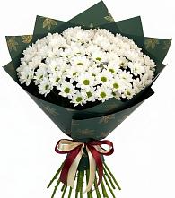 Букет цветов из:  Хризантемы #REPLACE_PRED# Александро-Невской