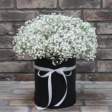 Цветочная композиция из Гипсофила в шляпной коробке в Александро-Невской