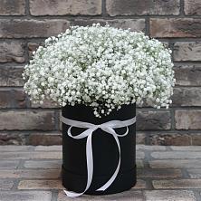 Цветочная композиция из Гипсофила в шляпной коробке в Александро-Невской