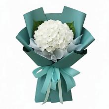 Букет цветов из:  Гортензия в Александро-Невской